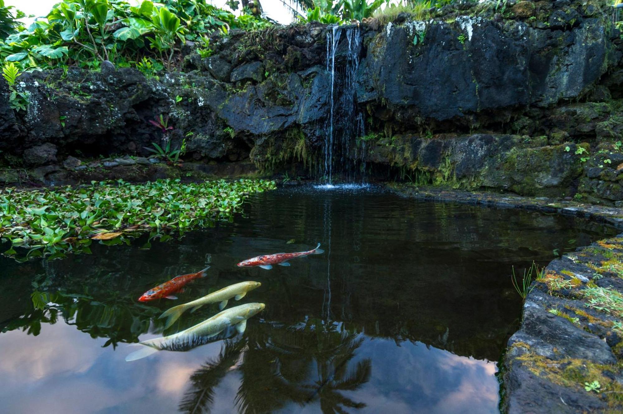 Hana Kai Maui - #105 Kaihalulu Lägenhet Exteriör bild